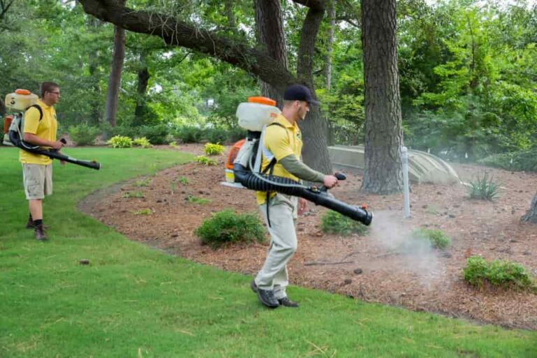 killing mosquitoes at home