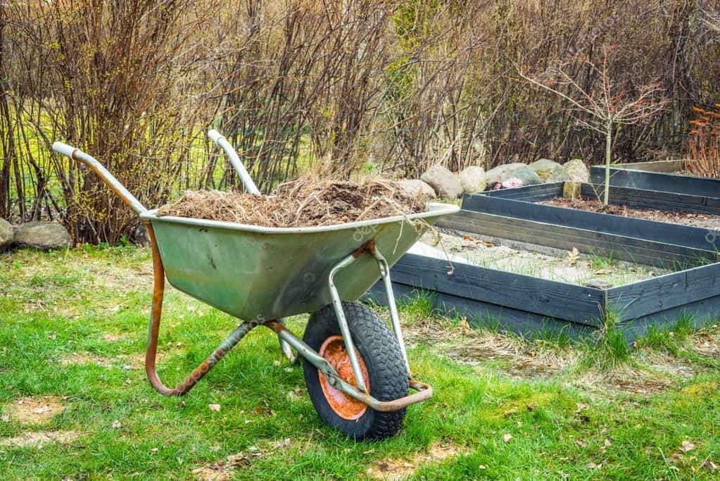 removing waste from garden