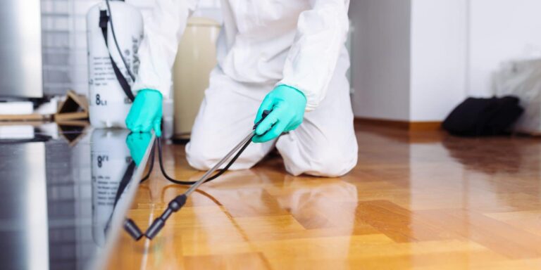 how-to-hire-pest-control-company-