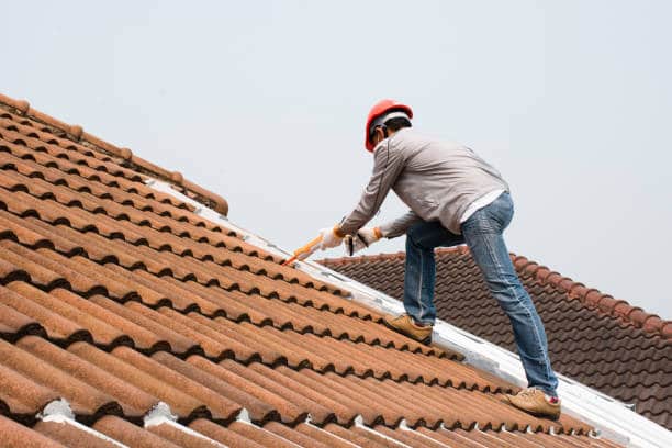 roofing professional
